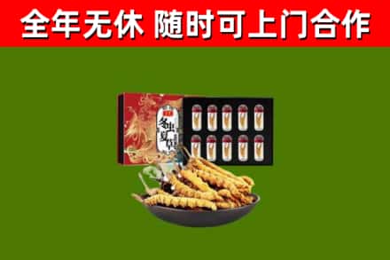 东莞市回收冬虫夏草价格