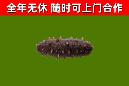 东莞市烟酒回收干海参.jpg